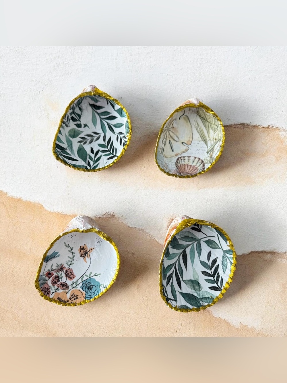 DIY Cockle Shells for Decoupage – Set of 6 | Natural Seashells for Crafts